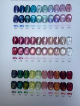 Load image into Gallery viewer, Danny Coll 60 Colors Cat Eye Nail Gel Polish
