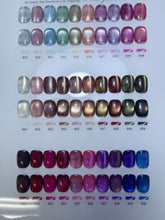 Load image into Gallery viewer, Danny Coll 60 Colors Cat Eye Nail Gel Polish
