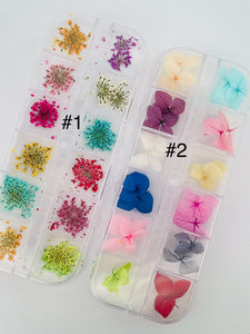 Dried Flowers 12 Grids Nail Art Decoration