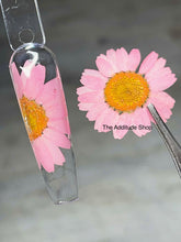 Load image into Gallery viewer, Oversized Dried Flowers Nail Decorations- 12 Pieces
